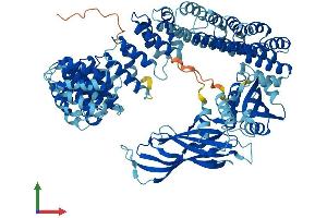 Protein Structure (PS) image for Coatomer Protein Complex, Subunit gamma 2 (COPG2) (AA 1-871) protein (His tag) (ABIN7553539)