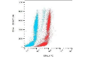 Flow cytometry analysis of OPAL1 in human peripheral blood + lyophilized SP2 cells using mouse monoclonal antibody anti-OPAL1 PE. (OPAL1 抗体  (AA 152-342) (PE))