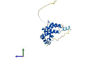 AlphaFold protein structure predicition of Human Recombinant RGS1 Protein, UniprotID Q08116