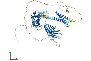 Protein Structure (PS) image for Golgi-Associated, gamma Adaptin Ear Containing, ARF Binding Protein 2 (GGA2) (AA 1-603) protein (His tag) (ABIN7557996)