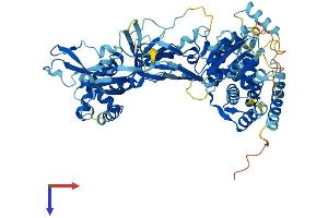AlphaFold protein structure predicition of Mouse Recombinant Mcmdc2 Protein, UniprotID E9Q956