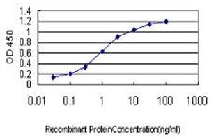 Detection limit for recombinant GST tagged DUT is approximately 0. (Deoxyuridine Triphosphatase (DUT) (AA 68-164) 抗体)