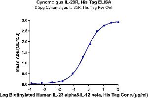 ELISA image for Interleukin 23 Receptor (IL23R) (AA 24-353) protein (His tag) (ABIN7275009)