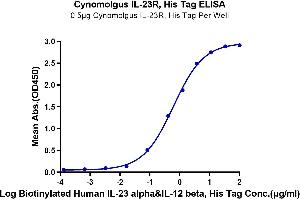 Immobilized Cynomolgus IL-23R, His Tag at 5 μg/mL (100 μL/well) on the plate. (IL23R Protein (AA 24-353) (His tag))