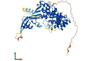 Protein Structure (PS) image for Arginine Decarboxylase (ADC) (AA 1-459) protein (His tag) (ABIN7564437)