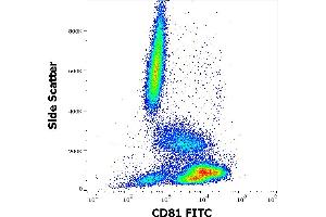 Flow cytometry surface staining pattern of human peripheral whole blood stained using anti-human CD81 (M38) FITC antibody (20 μL reagent / 100 μL of peripheral whole blood).