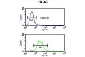 Flow Cytometry (FACS) image for anti-Immunoglobulin Heavy Chain (IgH) antibody (ABIN2995207) (IgH 抗体)