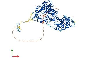 Protein Structure (PS) image for Cap Methyltransferase 1 (CMTR1) (AA 1-835) protein (His tag) (ABIN7553475)