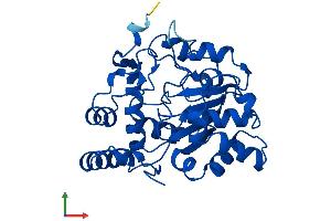 Protein Structure (PS) image for Sulfotransferase Family 1B Member 1 (SULT1B1) (AA 1-296) protein (His tag) (ABIN7546320)