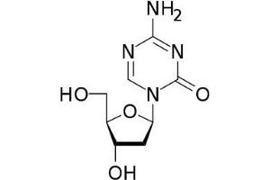 / (Decitabine)