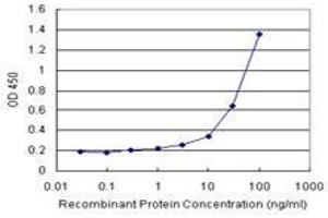 Sandwich ELISA detection sensitivity ranging from 3 ng/mL to 100 ng/mL. (CCRK (人) Matched Antibody Pair)