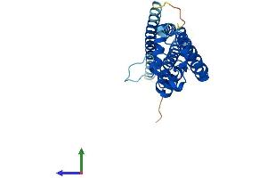 Protein Structure (PS) image for Tetraspanin 15 (TSPAN15) (AA 1-294) protein (His tag) (ABIN7544780)