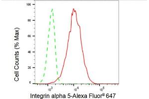 anti-Integrin, alpha 5 (ITGA5) antibody
