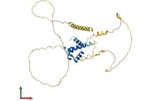 Protein Structure (PS) image for Short Stature Homeobox 2 (SHOX2) (AA 1-331) protein (His tag) (ABIN7546122)