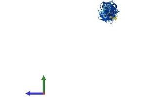 AlphaFold protein structure predicition of Human Recombinant FHL5 Protein, UniprotID Q5TD97