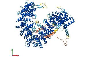 AlphaFold protein structure predicition of Human Recombinant IPO8 Protein, UniprotID O15397