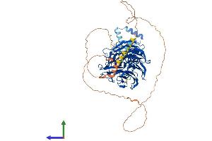 AlphaFold protein structure predicition of Human Recombinant FBXW7 Protein, UniprotID Q969H0