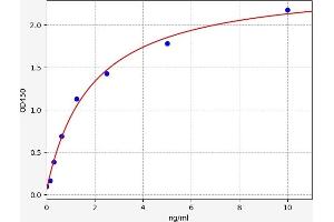 Typical standard curve (RAP1A ELISA 试剂盒)