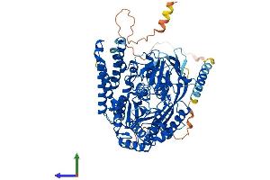 AlphaFold protein structure predicition of Human Recombinant TFRC Protein, UniprotID P02786