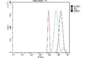 Flow Cytometry analysis of RH35 cells using anti-HIP2/LIG/UBE2K antibody (ABIN7601341). (UBE2K 抗体  (AA 33-195))