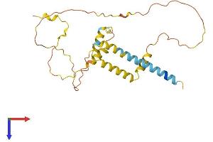 AlphaFold protein structure predicition of Human Recombinant SYNDIG1L Protein, UniprotID A6NDD5