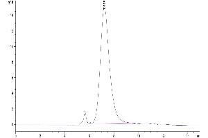 Size-exclusion chromatography-High Pressure Liquid Chromatography (SEC-HPLC) image for Sialophorin (SPN) (AA 20-248) protein (His tag) (ABIN7274189)