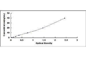 Typical standard curve (VEGFR2/CD309 ELISA 试剂盒)