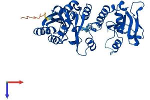 B3GNTL1 Protein (AA 1-357) (His tag)