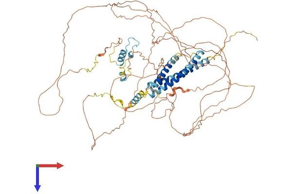 CEP68 Protein (AA 1-757) (His tag)