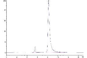 Size-exclusion chromatography-High Pressure Liquid Chromatography (SEC-HPLC) image for Chemokine (C-X-C Motif) Ligand 13 (CXCL13) (AA 22-109) protein (Fc Tag) (ABIN7274450)