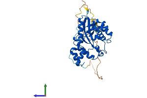 Protein Structure (PS) image for Nicotinamide Nucleotide Adenylyltransferase 2 (NMNAT2) (AA 1-307) protein (His tag) (ABIN7549808)