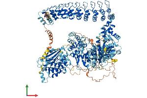 AlphaFold protein structure predicition of Human Recombinant DAPK1 Protein, UniprotID P53355 (DAP Kinase 1 Protein (AA 1-1430) (His tag))