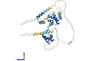 Protein Structure (PS) image for Homeobox Containing 1 (HMBOX1) (AA 1-420) protein (His tag) (ABIN7548275)