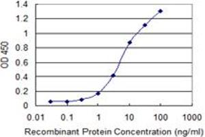 Detection limit for recombinant GST tagged NUMB is 0. (NUMB 抗体  (AA 1-135))