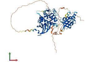 Protein Structure (PS) image for 3-phosphoinositide Dependent Protein Kinase-1 (PDPK1) (AA 1-556) protein (His tag) (ABIN7554880)