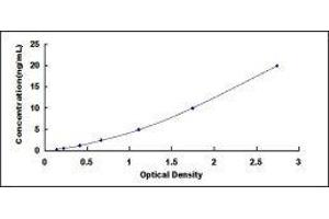Typical standard curve (Catalase ELISA 试剂盒)