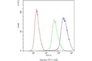 Flow Cytometry (FACS) image for anti-Protein tyrosine Phosphatase Type IVA, Member 2 (PTP4A2) antibody (ABIN4952318)