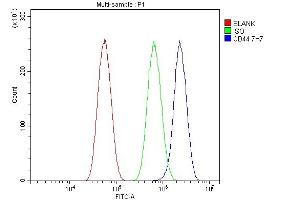 Flow Cytometry analysis of U87 cells using anti-CD44 antibody (ABIN7603137). (CD44 抗体  (N-Term))
