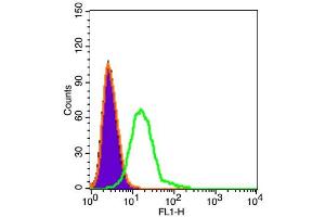 U87MG cells probed with ADAM12 Polyclonal Antibody  at 1:100 dilution for 30 minutes compared to control cells (black) and isotype control (orange). (ADAM12 抗体  (AA 201-300))