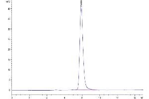 Size-exclusion chromatography-High Pressure Liquid Chromatography (SEC-HPLC) image for Neuropilin 1 (NRP1) (AA 22-644) protein (His tag) (ABIN7275368)