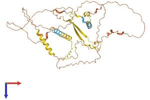 AlphaFold protein structure predicition of Human Recombinant SPATA32 Protein, UniprotID Q96LK8