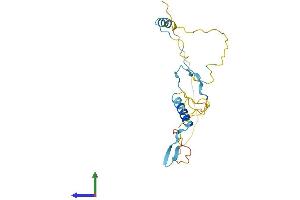 AlphaFold protein structure predicition of Human Recombinant FAM219B Protein, UniprotID Q5XKK7