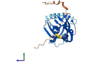 Protein Structure (PS) image for ChaC, Cation Transport Regulator Homolog 1 (CHAC1) (AA 1-223) protein (His tag) (ABIN7559736)
