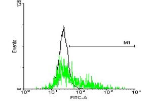 FACS analysis of negative control 293 cells (Black) and GPR143 expressing 293 cells (Green) using GPR143 purified MaxPab mouse polyclonal antibody. (GPR143 抗体  (AA 1-424))