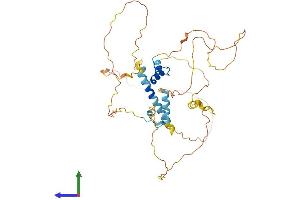Protein Structure (PS) image for MEF2 Activating Motif and SAP Domain Containing Transcriptional Regulator (MAMSTR) (AA 1-415) protein (His tag) (ABIN7549197)