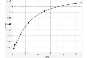 Sulfotransferase Family 1E Member 1 (SULT1E1) ELISA Kit