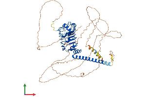 Protein Structure (PS) image for Leucine Rich Repeat Containing 50 (LRRC50) (AA 1-634) protein (His tag) (ABIN7560916)