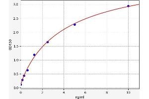 Typical standard curve (BTK ELISA 试剂盒)