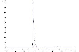 Size-exclusion chromatography-High Pressure Liquid Chromatography (SEC-HPLC) image for CD22 Molecule (CD22) (AA 20-687) protein (Fc Tag) (ABIN7275595)