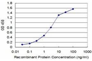 Detection limit for recombinant GST tagged HEY1 is approximately 0. (HEY1 抗体  (AA 121-220))